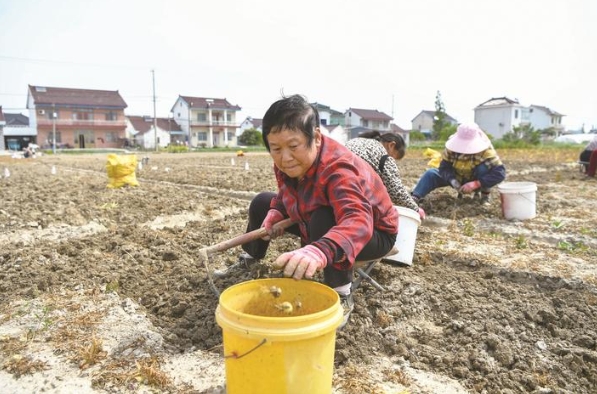 圖片新聞