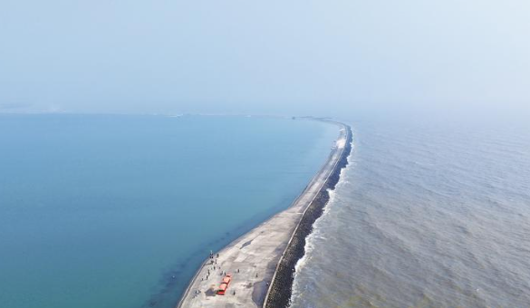 雙色海