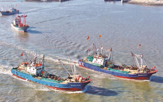 272艘帆張網(wǎng)漁船 開啟“尋鮮之旅”