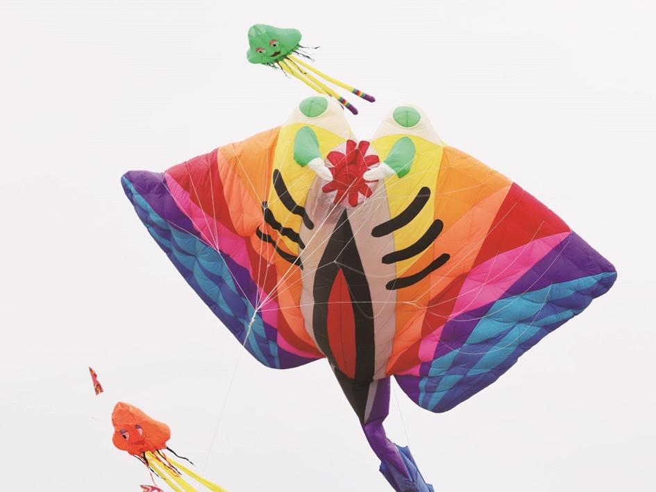 花式紙鳶 翱翔藍(lán)天丨400多個(gè)風(fēng)箏扮靚小洋口